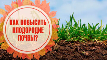 Повышаем плодородность